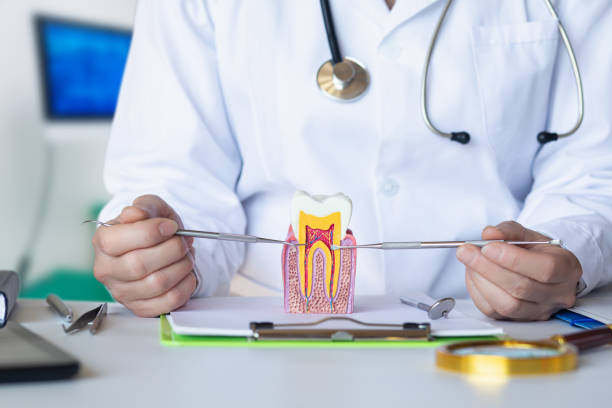 Best Emergency Root Canal Treatment in Shenandoah, TX
